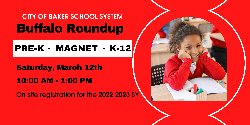 Flyer for CoBSS Buffalo Round up for PRE-K, K-12 & Magnet